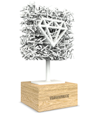 Full 3D mesh award